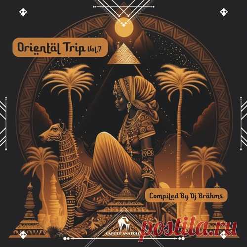 Cafe De Anatolia - Oriental Trip, Vol. 7 free download mp3 music 320kbps
