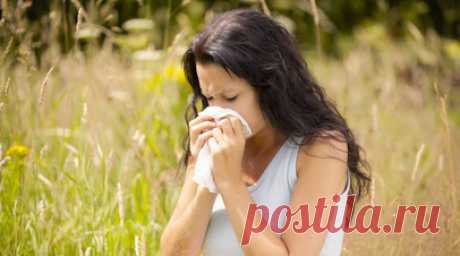 Врач Карпенко рассказал об аллергенах в конце лета. Доцент кафедры поликлинической терапии Института клинической медицины Пироговского Университета Дмитрий Карпенко рассказал о самых распространённых аллергенах в конце лета. Читать далее