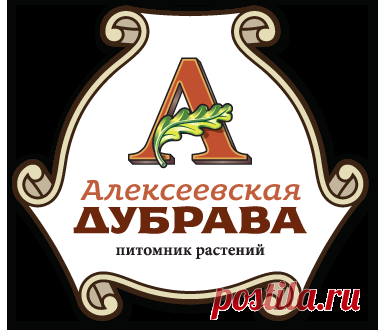 Прайс-листы питомника: цены на саженцы и стоимость услуг компании
