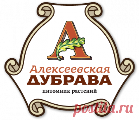 Прайс-листы питомника: цены на саженцы и стоимость услуг компании