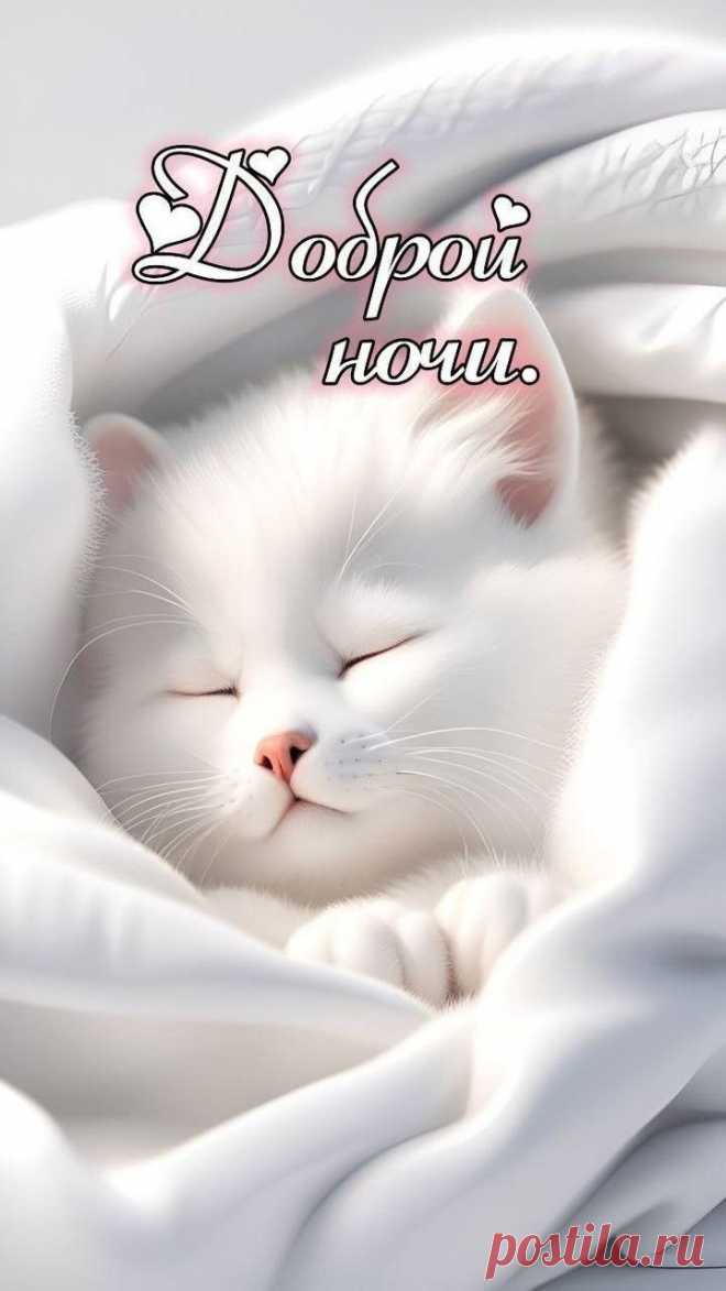 Доброй ночи! сладких снов!