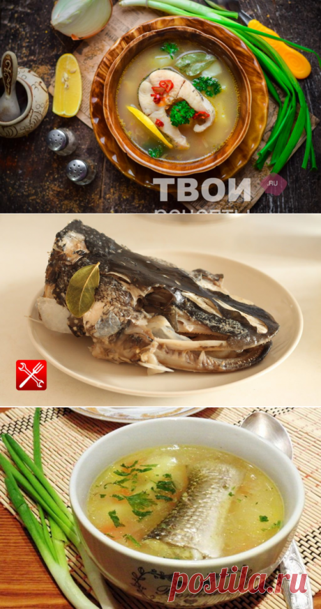 Уха из щуки: 7 простых рецептов |
