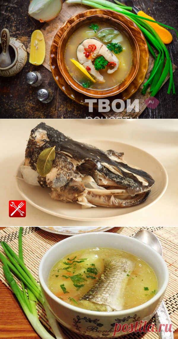 Уха из щуки: 7 простых рецептов |