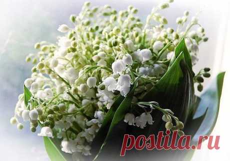 Мой Мир@Mail.Ru