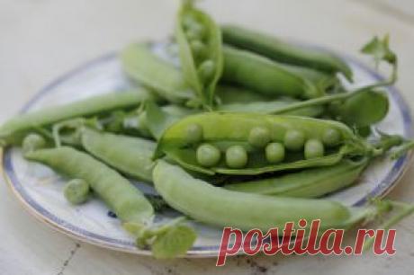 Как выращивать горох и бобы на даче | Твой Ремонт и Твоя дача!