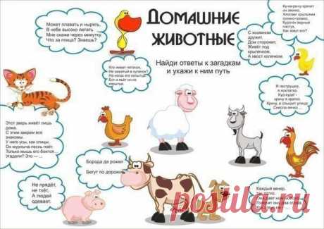 Загадки о домашних животных