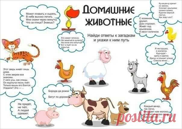 Загадки о домашних животных