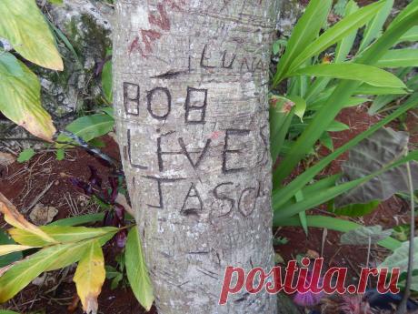 Bob lives