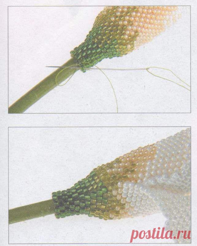 Мастер-класс Калла из бисера