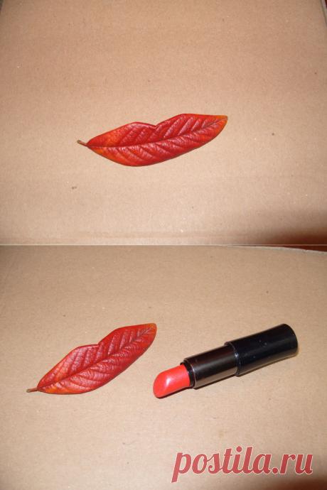 Осенний поцелуй / Журнал садовода Yuliay / 7dach.ru