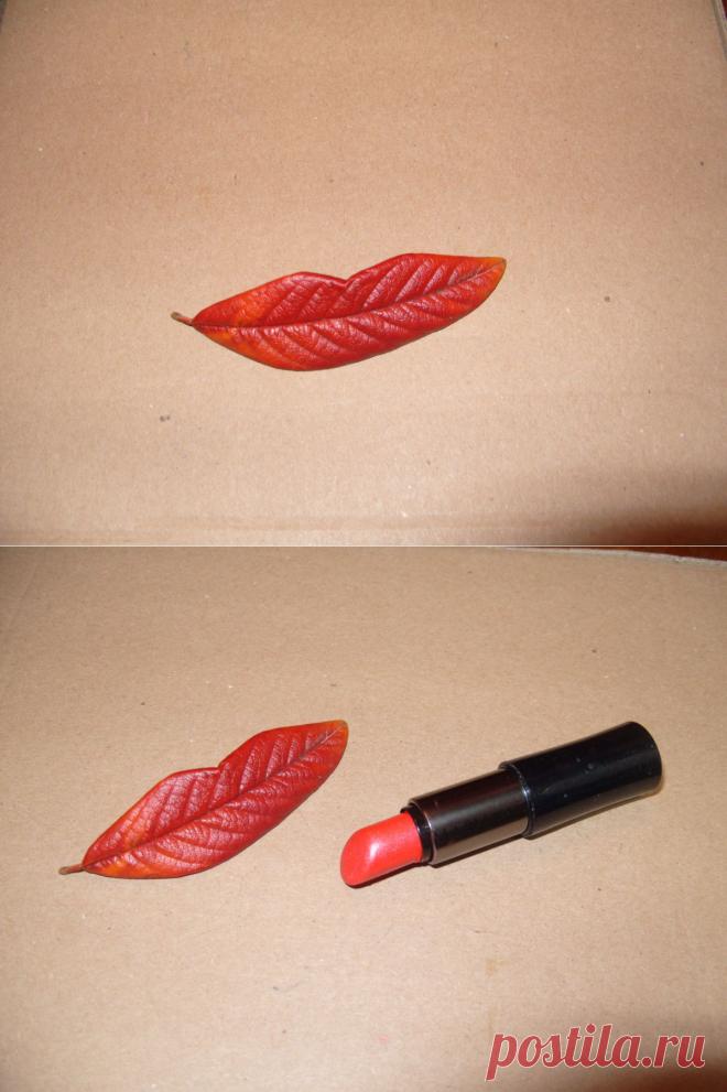 Осенний поцелуй / Журнал садовода Yuliay / 7dach.ru