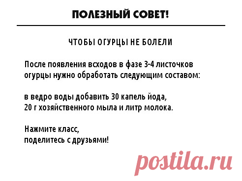 Одноклассники