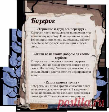 Поговорки знаков зодиака в картинках ИНТЕРЕСНО.