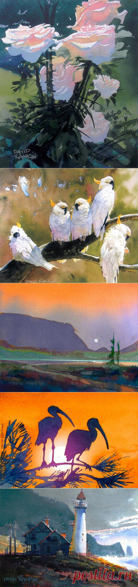 David Rankin. Акварель
