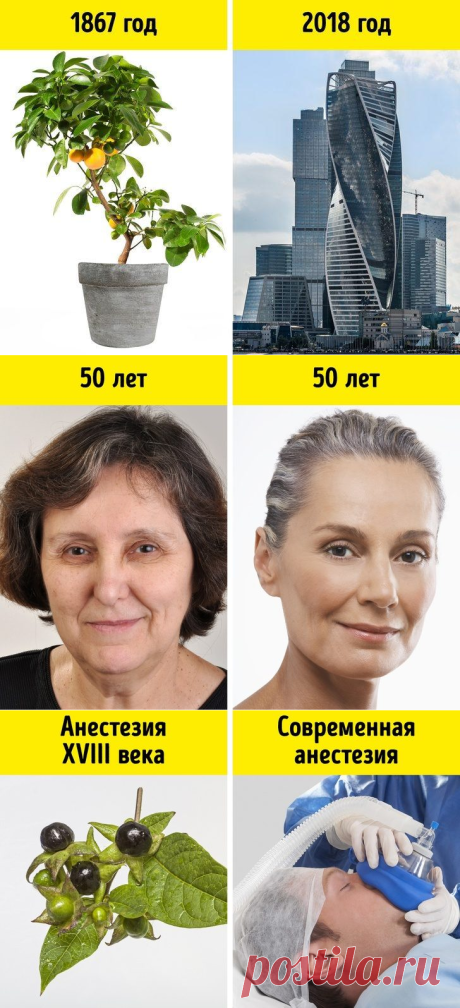 6 случайных открытий, которые радикально изменили жизнь человечества