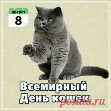Дом без кошек пуст и скучен.
Вместо интерьерных ваз
Заведите кошку лучше,
И тепло она вам даст!
8 Августа всемирный день кошек!