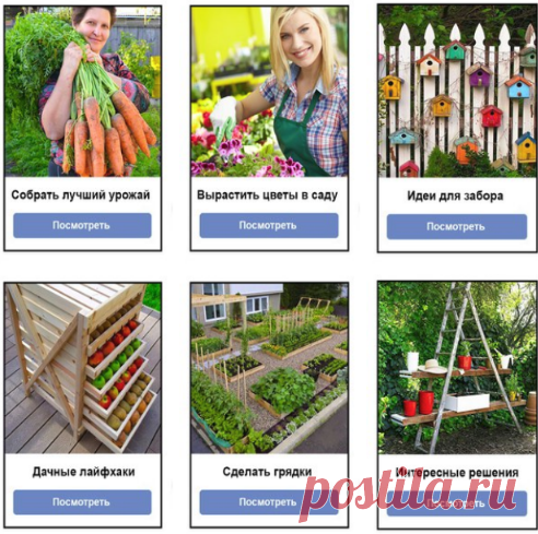Дачные хитрости. Если хотите собрать богатый урожай, вырастить красивый сад, сделать уютным свою дачу, но не знаете как, подписывайтесь на нашу группу ✨Дачные хитрости