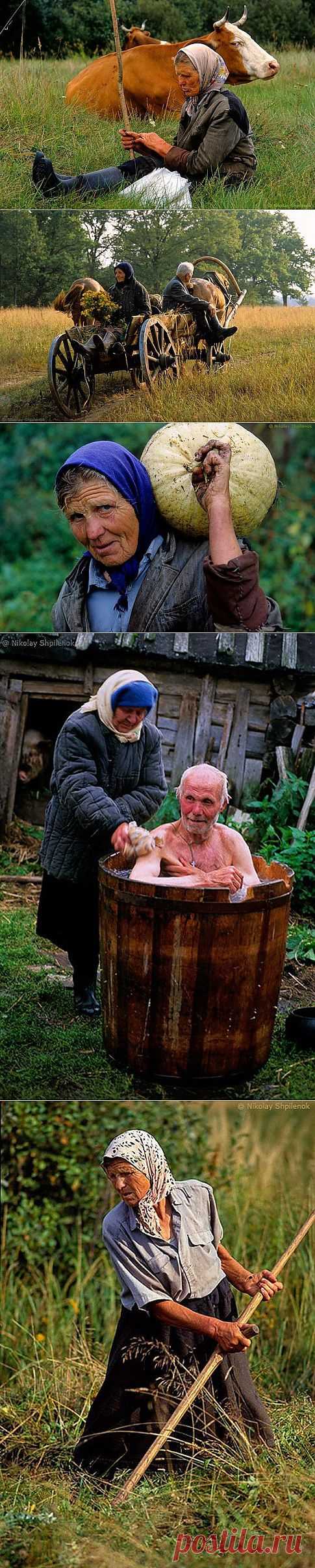 (+1) - В затерянном мире | Непутевые заметки