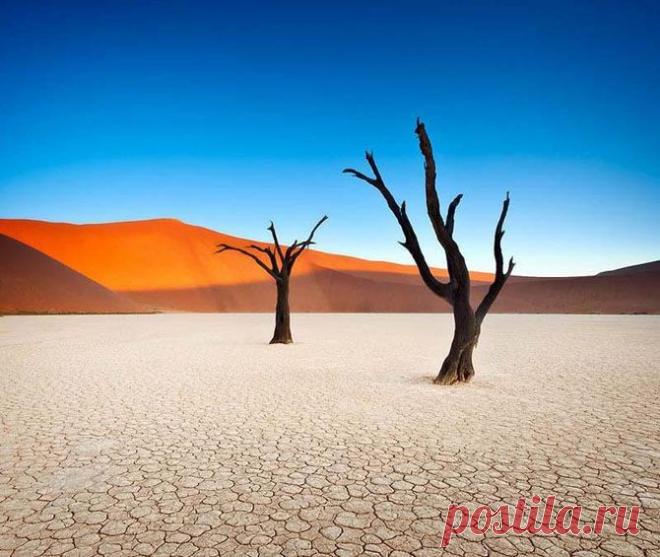 HIC ET NUNC: Сюрреалистический парк Намиб-Науклуфт