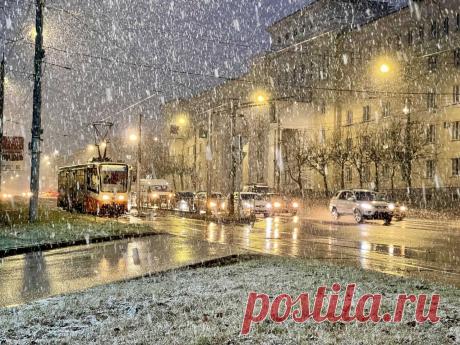 Яндекс Картинки: поиск похожих изображений