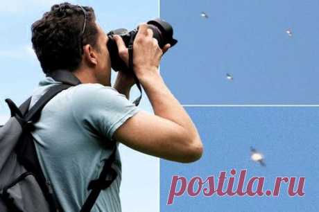 Пришельцы маскируются: фотограф заснял очень странную стаю птиц.