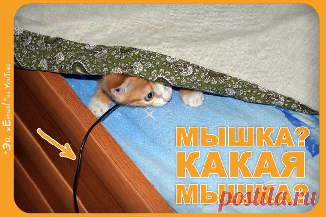 Эй Желтый