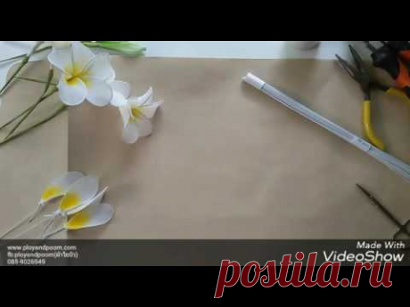 ดอกลีลาวดี (Plumeria flower)
How to make nylon flower (Plumeria flower) by fb: ployandpoom(ผ้าใยบัว)