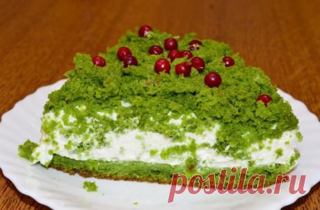 Торт "Лесной мох" Шпинат в бисквите придаёт торту свежесть и легкость, а сливочный крем и вкус граната делают его идеальным угощением для любого торжества.