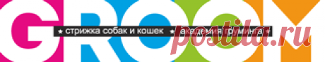 Стрижка собак, стрижка кошек, стрижка Йорка, курсы грумеров.