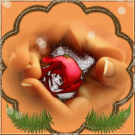 С кем бы человек не начинал строить семейную жизнь, он пройдет периоды искуса. Ведь готового счастья не бывает... Счастье надо тоже выращивать терпеливо и многими трудами с обеих сторон.
Архимандрит Иоанн Крестьянкин