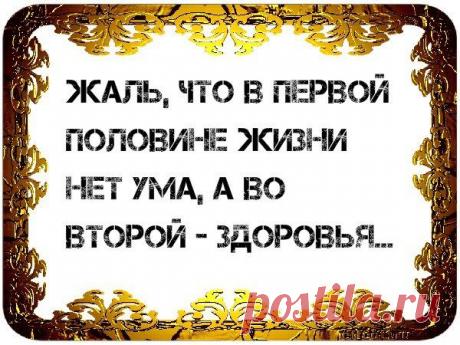 Фото пользователя Владимир, Санкт-Петербург, 51 год
