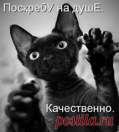 Интересные новости