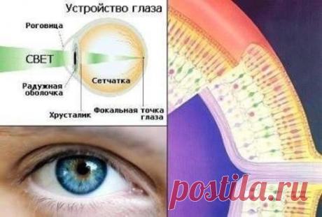 Упражнения, улучшающие кровообращение и снимающие усталость глаз