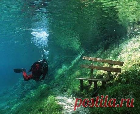 Фотогалерея | Природа