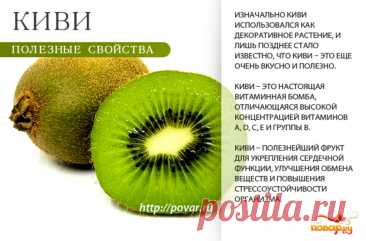 Киви полезные свойства