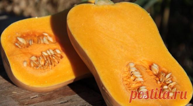 Суфле из тыквы: идея сезона на Gastronom.ru