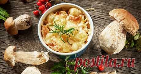 Жульен с курицей и грибами - рецепты в тарталетках, в духовке и на сковороде. Как приготовить вкусный соус для жульена с курицей.