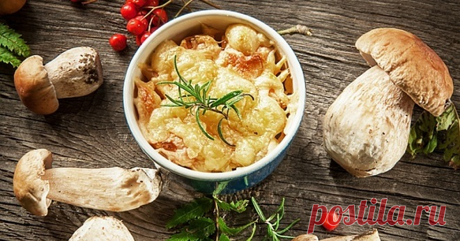 Жульен с курицей и грибами - рецепты в тарталетках, в духовке и на сковороде. Как приготовить вкусный соус для жульена с курицей.