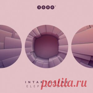 Intaktogene - Elephantoes [3000187] - HypeDJ.top