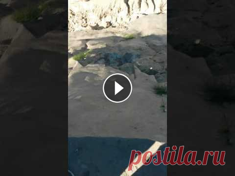 Песочные скульптуры!руффинг))класс Это было очень классно,жаль что время быстро летит и экскурсия тоже)))страдаем бредом...