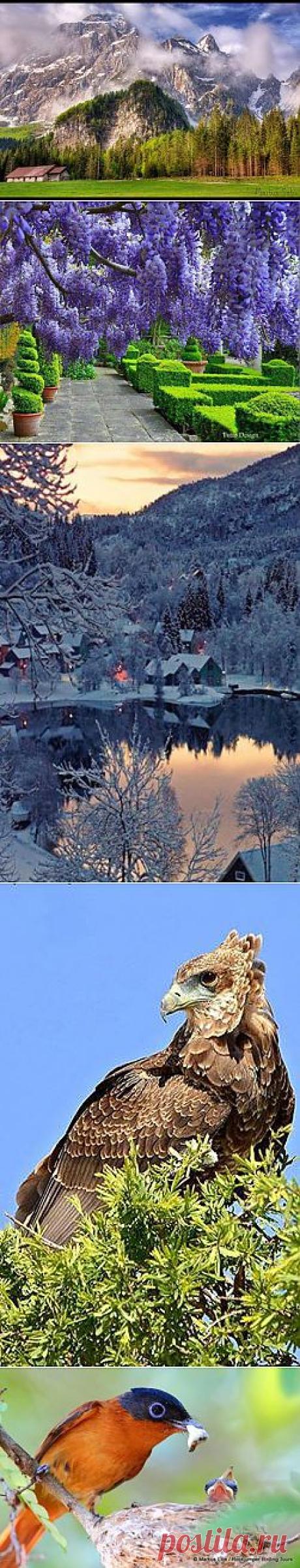 (98) Facebook