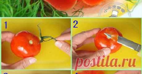 food art