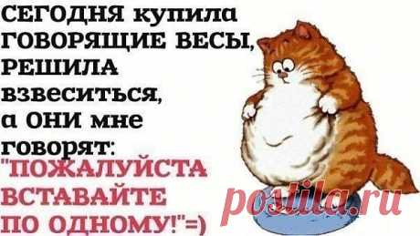 Идеи вашего дома