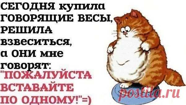 Идеи вашего дома