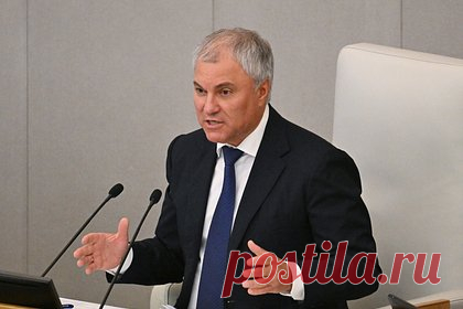 Володин раскритиковал мигрантов за потребительскую позицию
