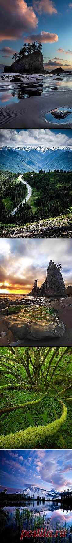 Second Beach twilight at Olympic National Park in ... | Take Me There