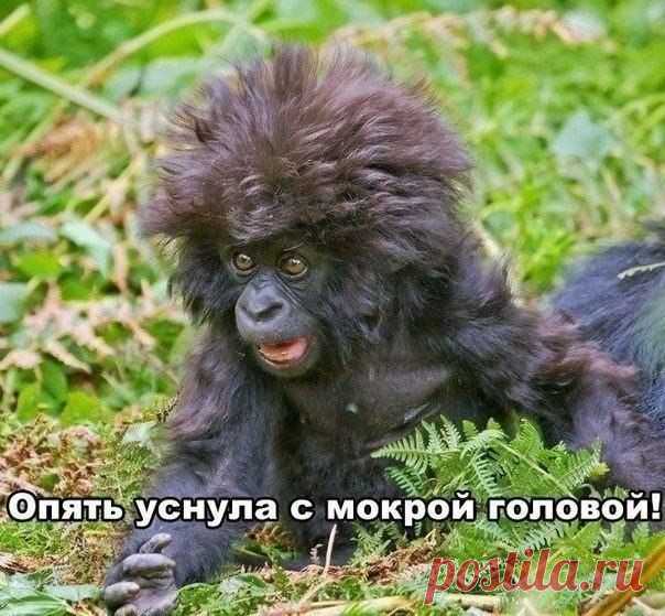 Уютный уголок | ВКонтакте