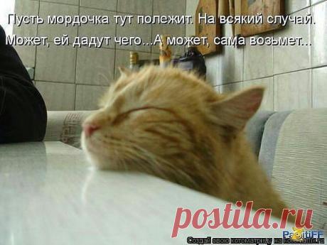 ((((Положительное Настроение))))
Петр Рубашкин