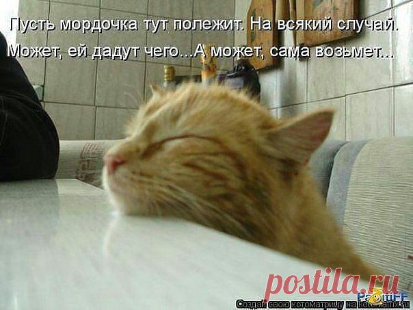 ((((Положительное Настроение))))
Петр Рубашкин