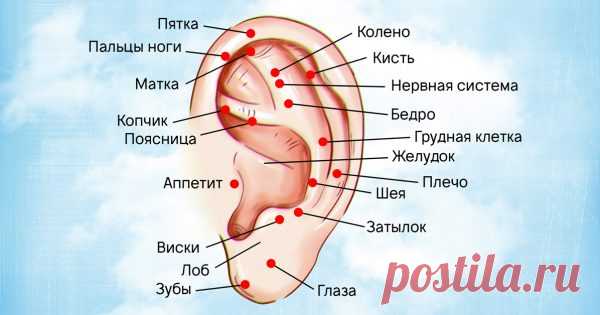 Вот как правильно делать массаж ушей